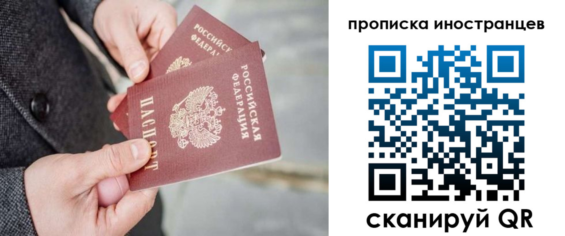 прописка для школы в Фрязино